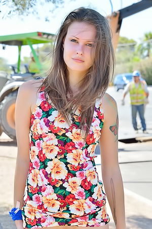 Shea flashing at construction